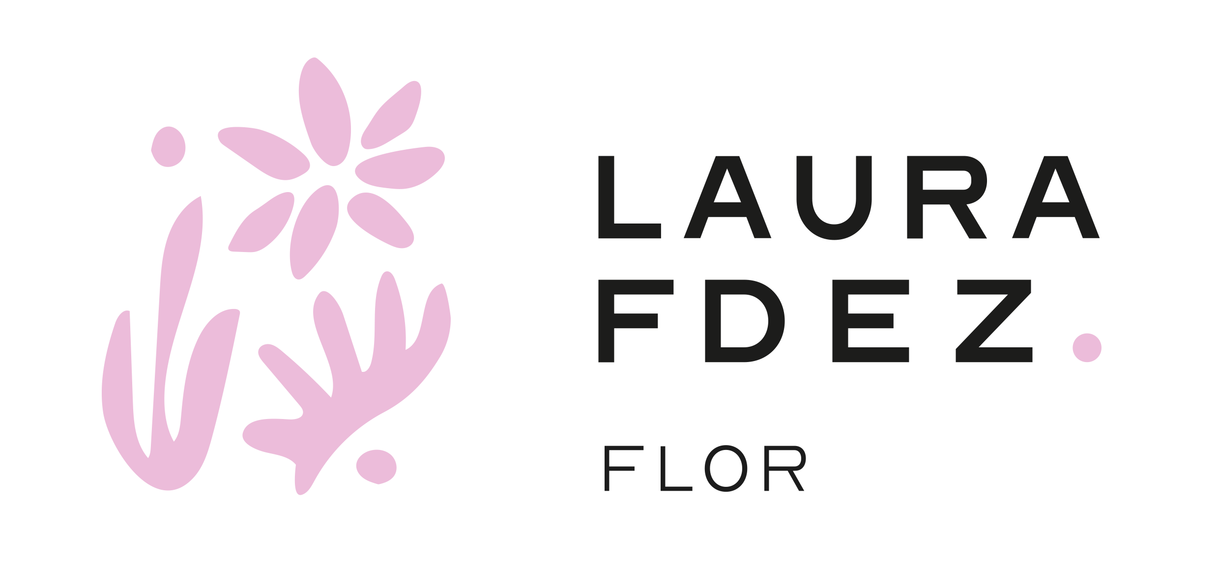 Laura Fernandez Flor